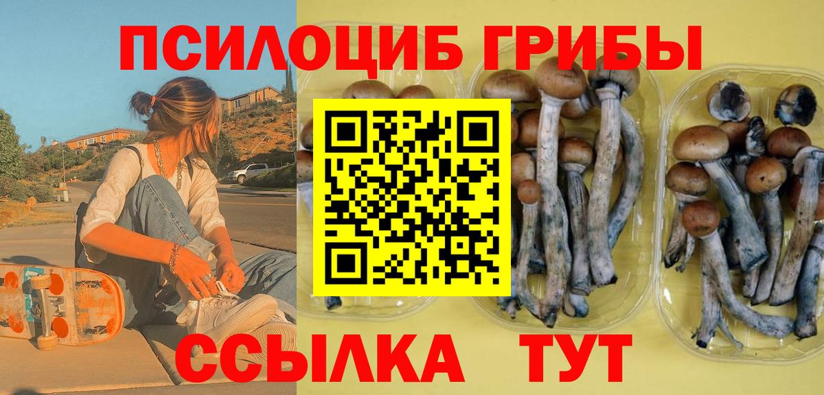 Псилоцибиновые грибы GOLDEN TEACHER  Вход с VPN  Лесозаводск 